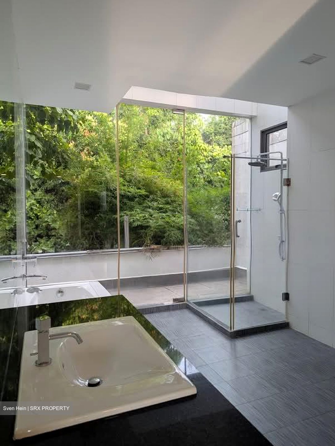 La Suisse (D11), Terrace #560725831
